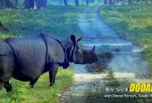 Dooars Tour Package from Kolkata – Explore the Untamed Beauty of North Bengal