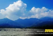 Dooars Tour Package from Kolkata – Explore the Untamed Beauty of North Bengal