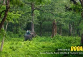 Dooars Tour Package from Kolkata – Explore the Untamed Beauty of North Bengal