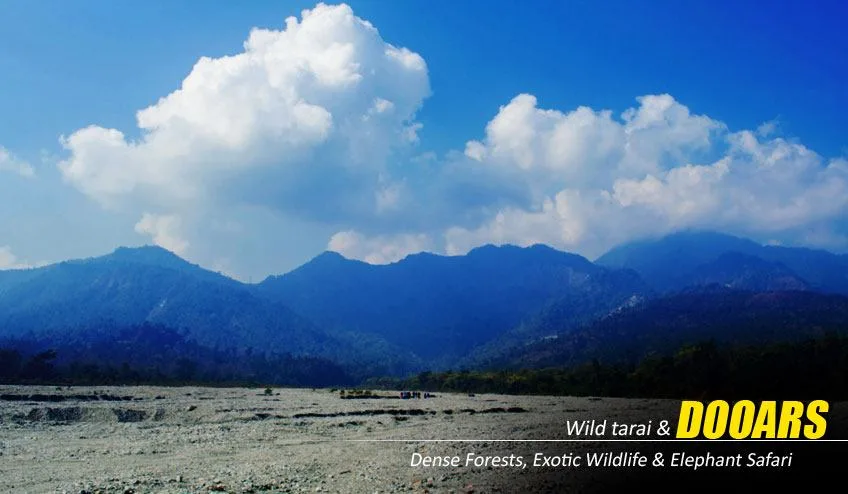 Dooars Tour Package from Kolkata – Explore the Untamed Beauty of North Bengal