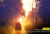 Dooars Tour Package from Kolkata – Explore the Untamed Beauty of North Bengal