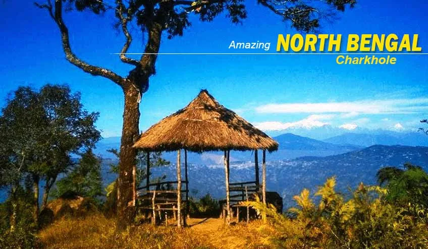 North Bengal Package Tour – Discover Hills, Forests, and Scenic Villages